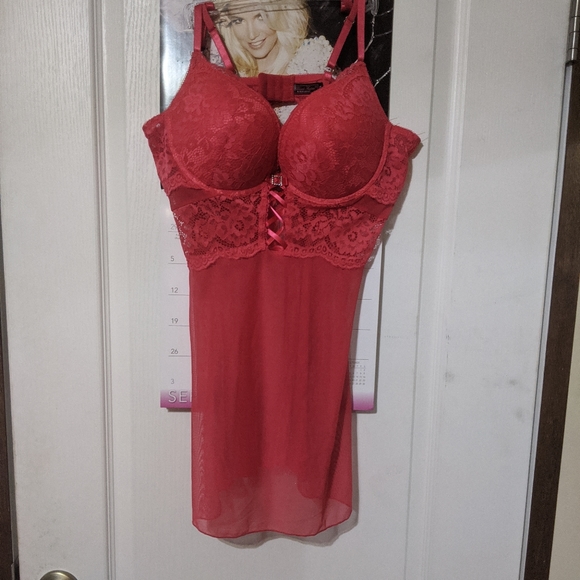 Black Fuchsia Secret Lace Mesh Red Evening Teddy Lingerie NWOT Extra Large XL - Picture 1 of 5
